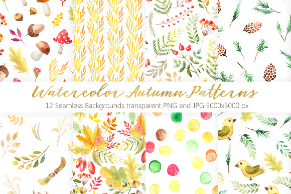 Watercolor Autumn BUNDLE in Graphics - product preview 15