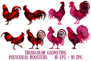 Triangular polygonal roosters.