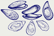 Seafood, shellfish