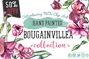 Bougainvillea floral watercolor clip