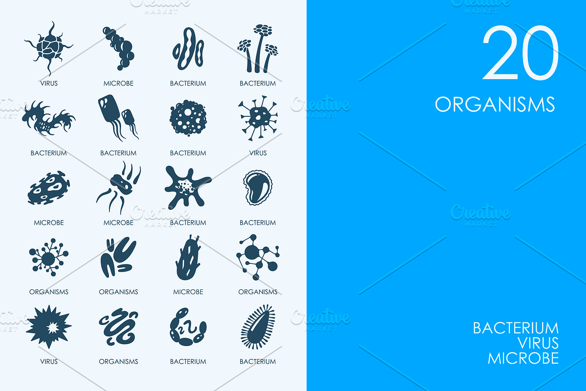 Organisms icons in Graphics - product preview 8