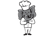 Chef Elephant Arms Crossed Standing 