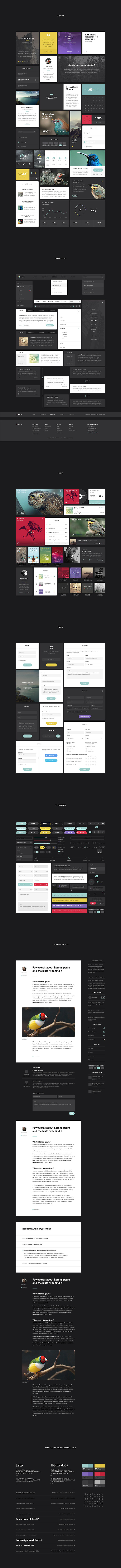 Aves UI Kit in UI Kits and Libraries - product preview 1