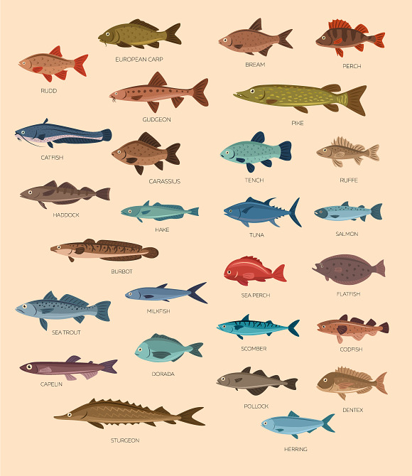 Fish and fishing set in Graphics - product preview 1