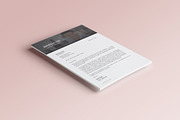 Resume + Cover Letter + Bonus