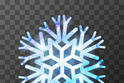 Colorful icy snowflake