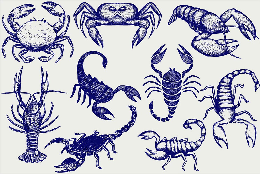 Crabs, crayfish, scorpions