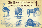 26 Hand Drawn Wild Animals