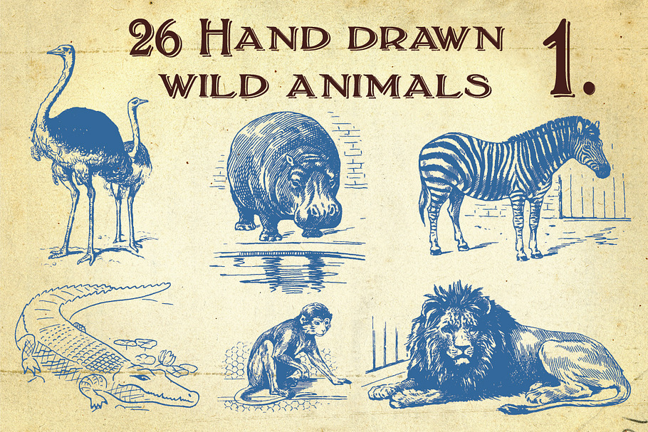 26 Hand Drawn Wild Animals in Illustrations - product preview 8