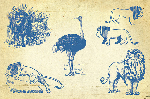 26 Hand Drawn Wild Animals in Illustrations - product preview 1