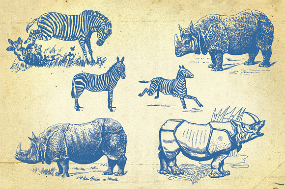 26 Hand Drawn Wild Animals in Illustrations - product preview 3