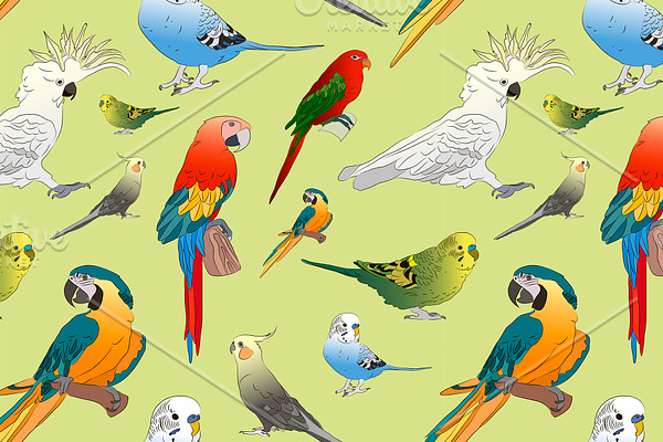 Parrots set pattern