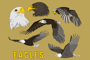 Set of eagles
