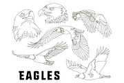 Set of eagles