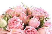 Rocking Rose - Pink Rose Bouquet