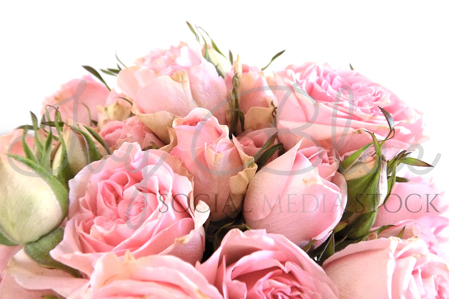 Rocking Rose - Pink Rose Bouquet in Product Mockups - product preview 8