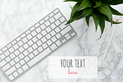 Keyboard, Plant on Marble Background