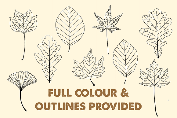Autumn Leaves in Illustrations - product preview 2