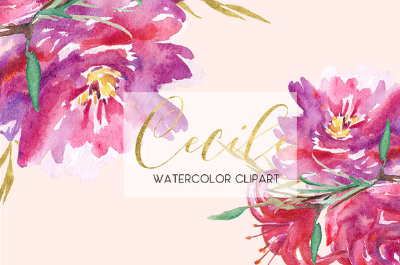 Cecile. Red roses watercolor clipart in Illustrations - product preview 2
