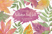 Autumn leaf fall. Watercolor.