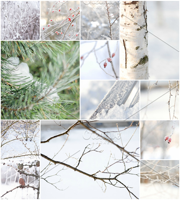 WINTER / CHRISTMAS PHOTO PACK in Mobile & Web Mockups - product preview 4