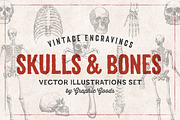 11 Skulls & Bones Illustration Set