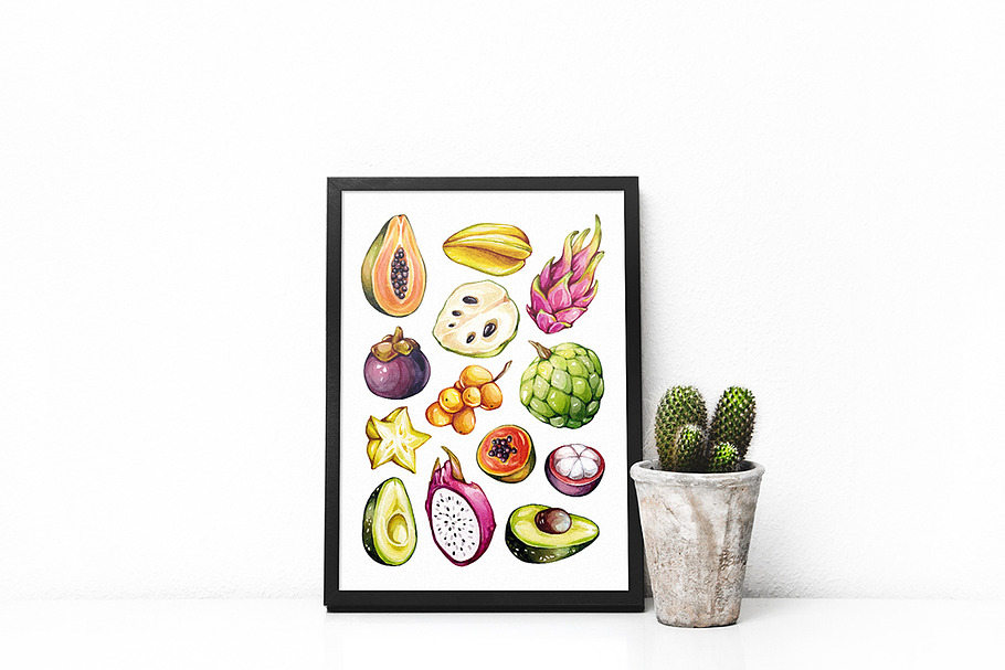 Tropical Fruits, Watercolor  in Illustrations - product preview 8