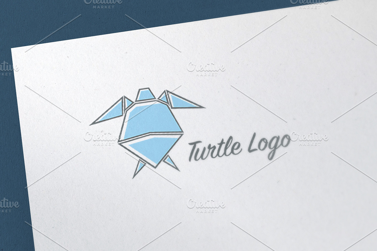 Turtle Logo Template in Logo Templates - product preview 8
