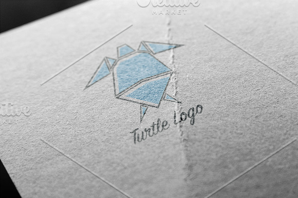 Turtle Logo Template in Logo Templates - product preview 1