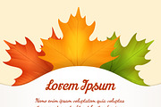 Autumn leaves poster