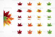 Autumn Maple Leaves Vector Pack