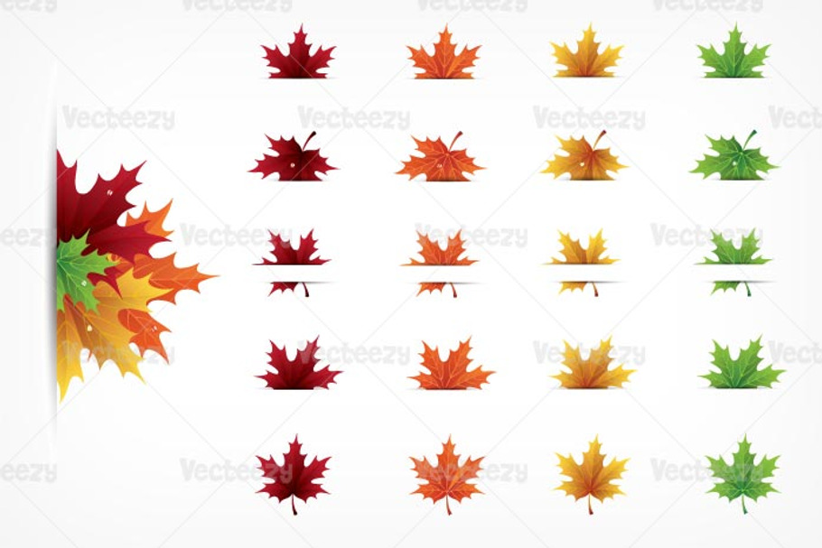 Autumn Maple Leaves Vector Pack