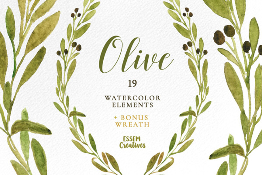 Watercolor Olive Branches and Leaves