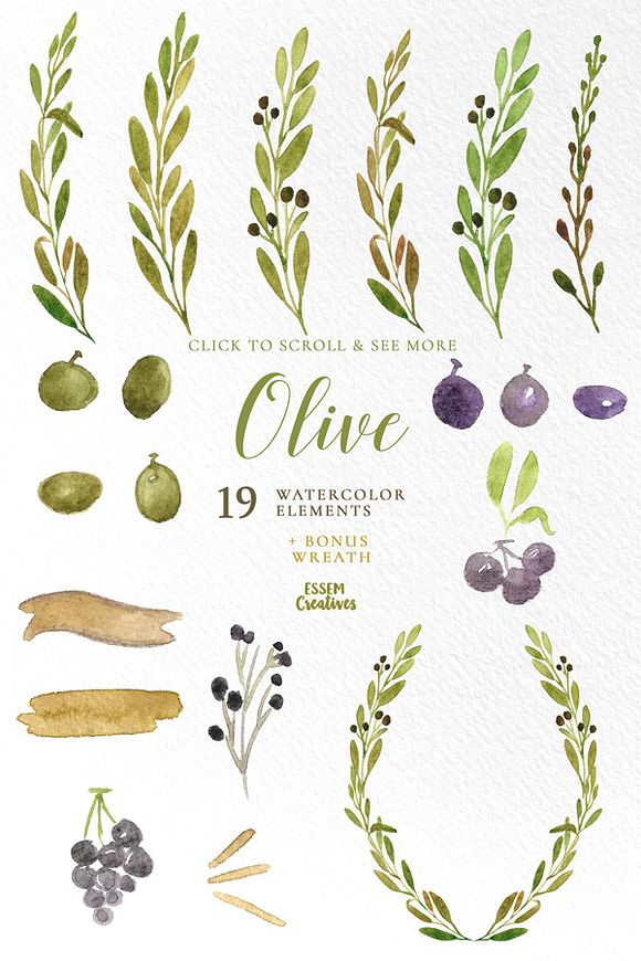 Watercolor Olive Branches and Leaves in Illustrations - product preview 1