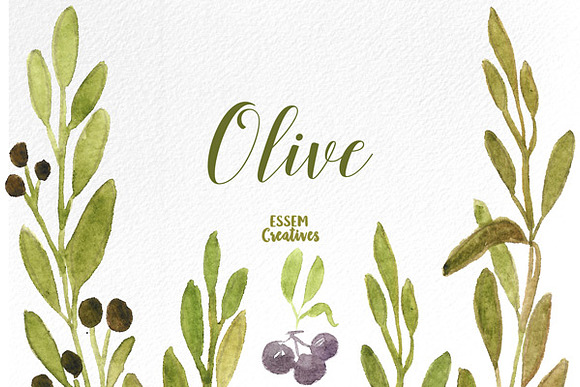 Watercolor Olive Branches and Leaves in Illustrations - product preview 2