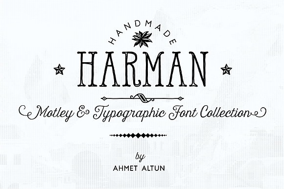 Harman Font Collection in Display Fonts - product preview 3