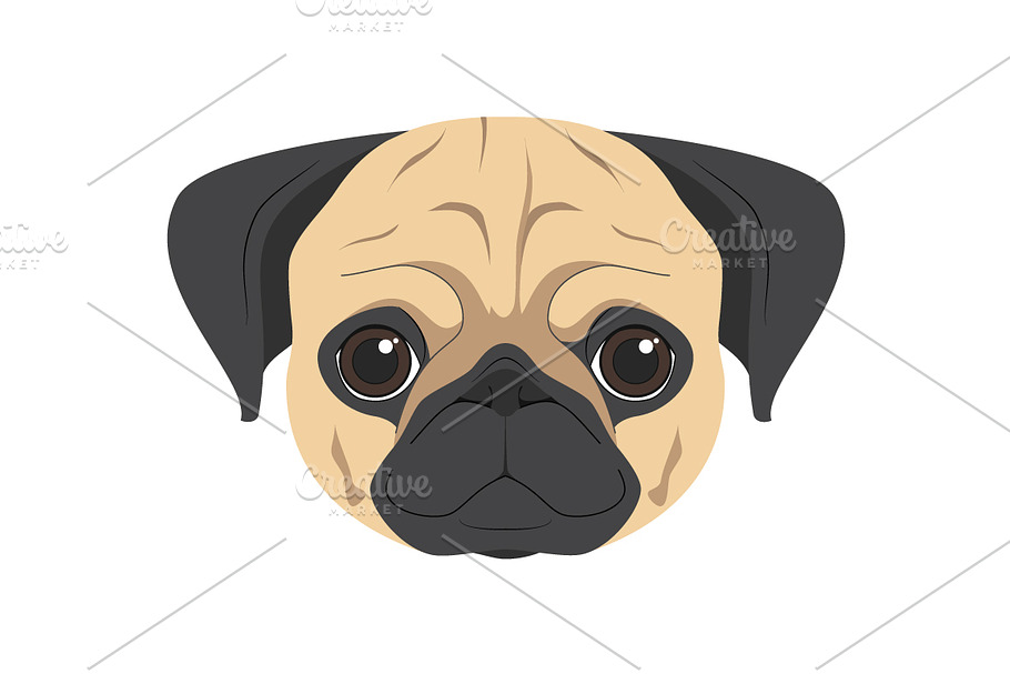Pug dog Vector Illustration
