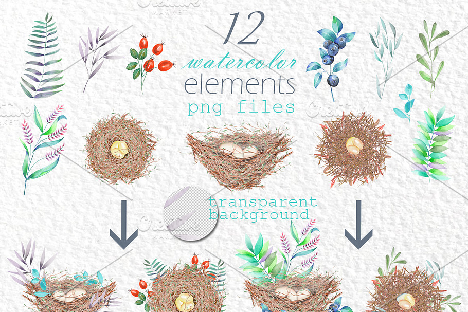 Bird's nests in the forest, vol. 1 in Illustrations - product preview 8