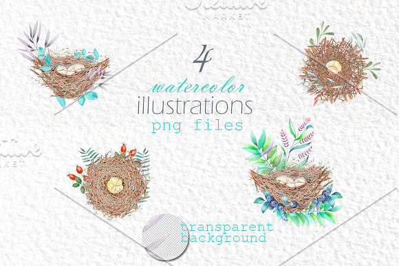 Bird's nests in the forest, vol. 1 in Illustrations - product preview 1