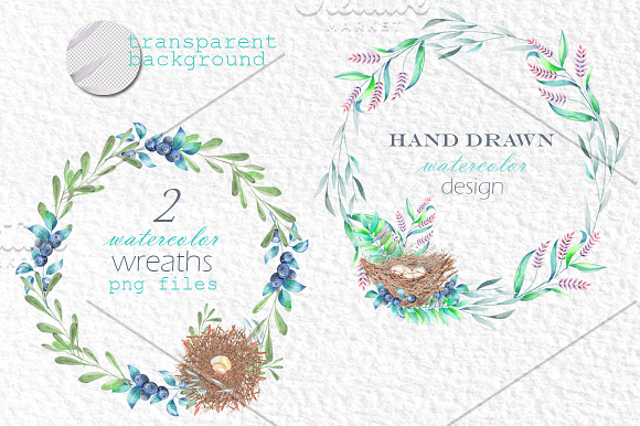 Bird's nests in the forest, vol. 1 in Illustrations - product preview 2