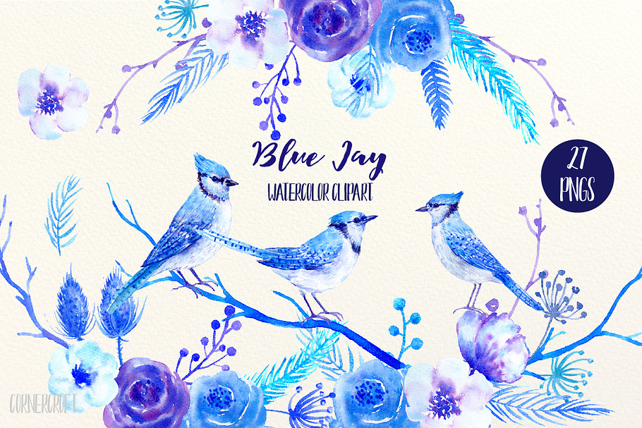 Watercolor Clipart Blue Jay