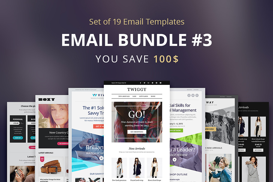 Theemon Email Bundle #3 in Mailchimp Templates - product preview 8