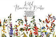 Wild Flowers & Herbs Watercolor Set