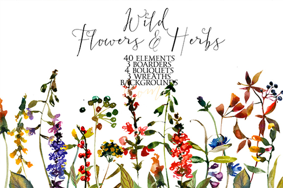 Wild Flowers & Herbs Watercolor Set