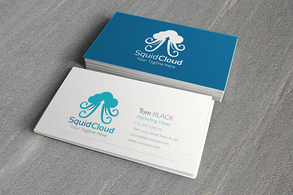 Squid Cloud Logo Template in Logo Templates - product preview 2