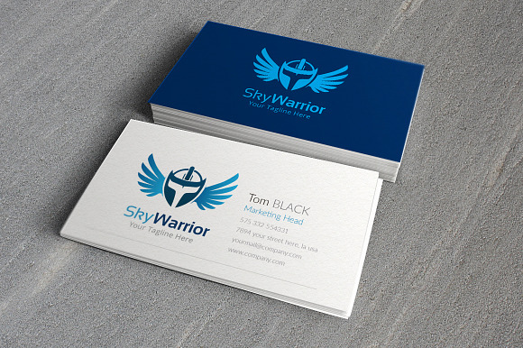 Sky Warrior Logo Template in Logo Templates - product preview 2