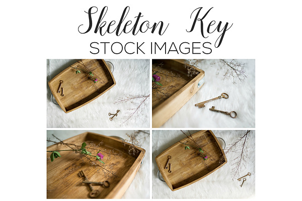 Skeleton Key Stock Image Bundle