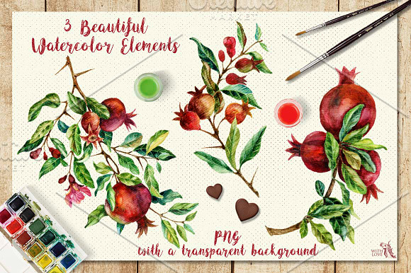 Watercolor Pomegranate Branch in Illustrations - product preview 1