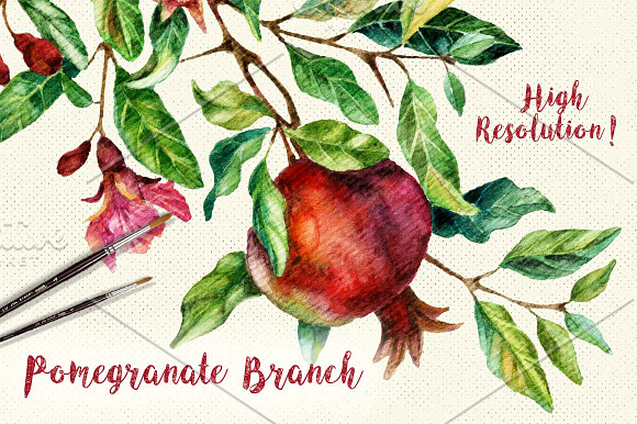Watercolor Pomegranate Branch in Illustrations - product preview 3