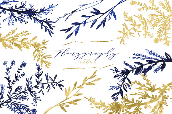 Florygraphy winter. Ink clipart. in Illustrations - product preview 1